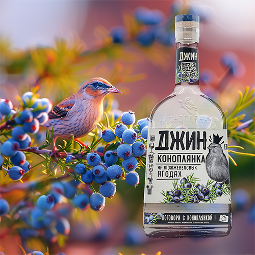 小鸟卡乐芙金酒